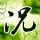悠长假期